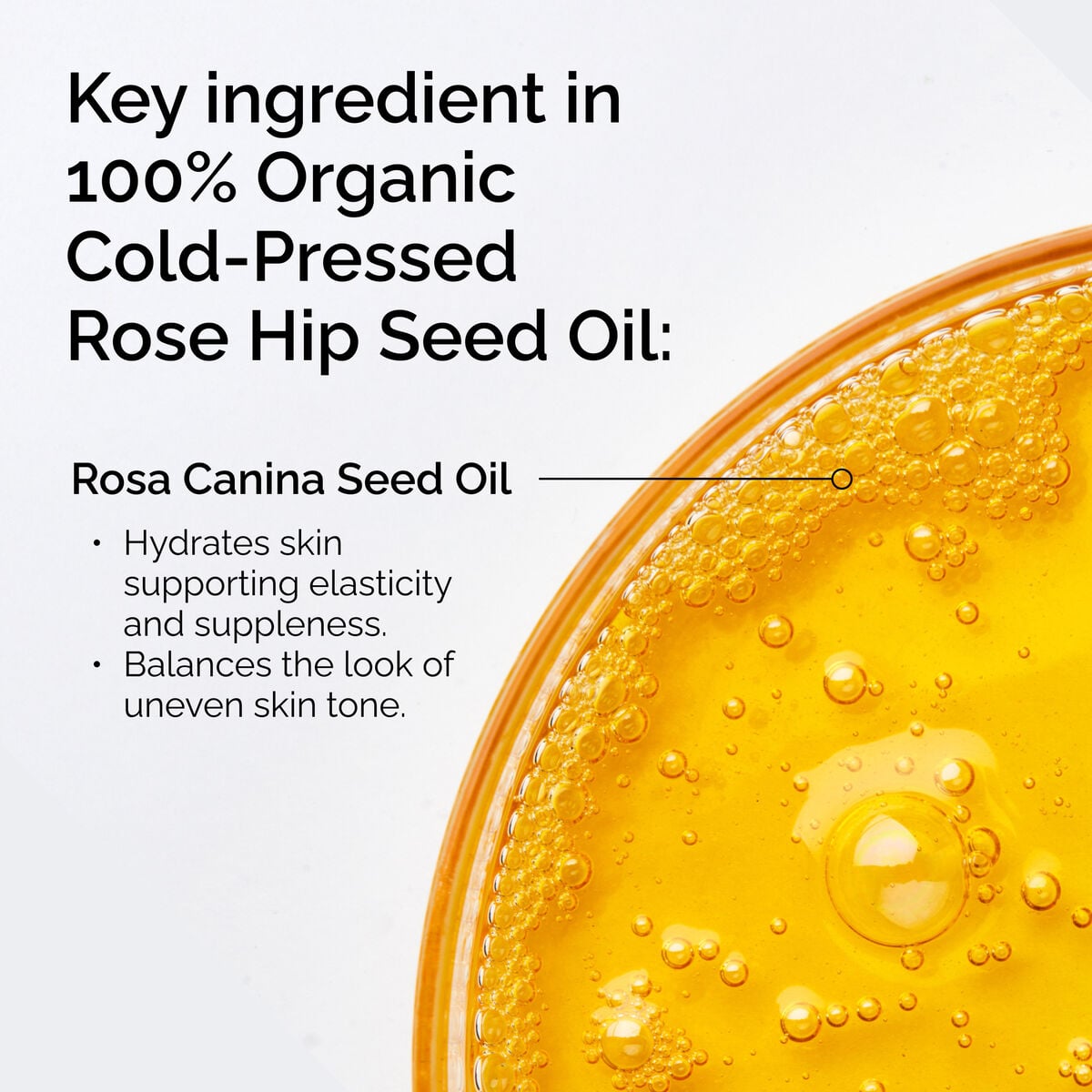 100-organic-cold-pressed-rose-hip-seed-oil-b0 FY25-D41247-ORD-Web-PDP-100-Rose-Hip-Oil-1x1-EN-2.jpg