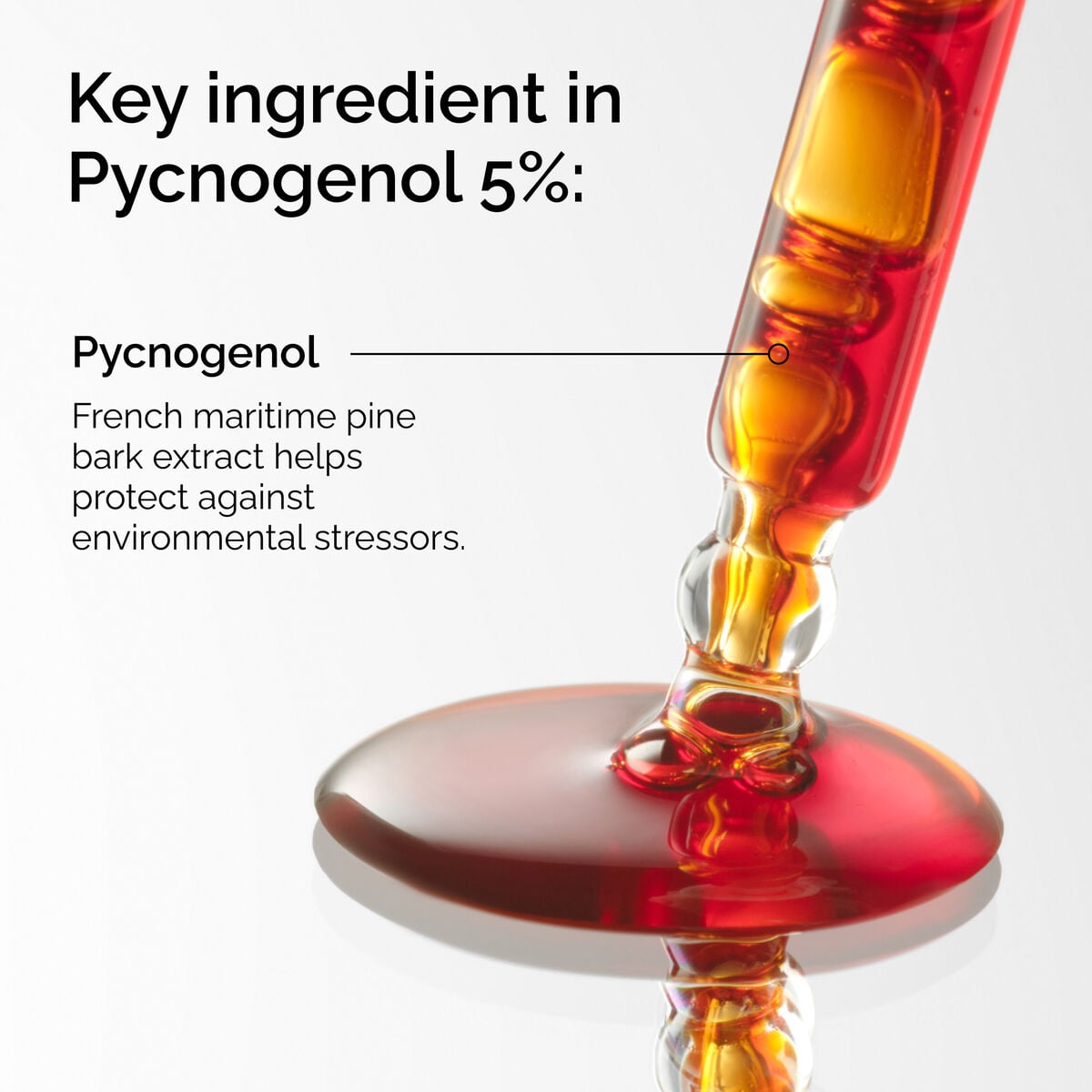pycnogenol-5-q3 FY25-D41247-ORD-Web-PDP-Pyc-5pct-1x1-EN-2a.jpg