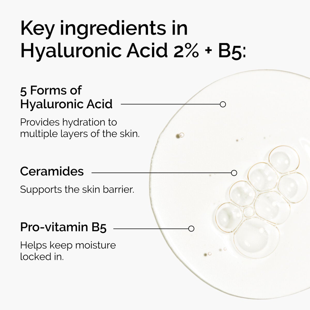 hyaluronic-acid-2-b5-with-ceramides-z0 ord-hyaluronic-acid-2pct-b5-hydrating-serum-ingredients-graphic.jpg